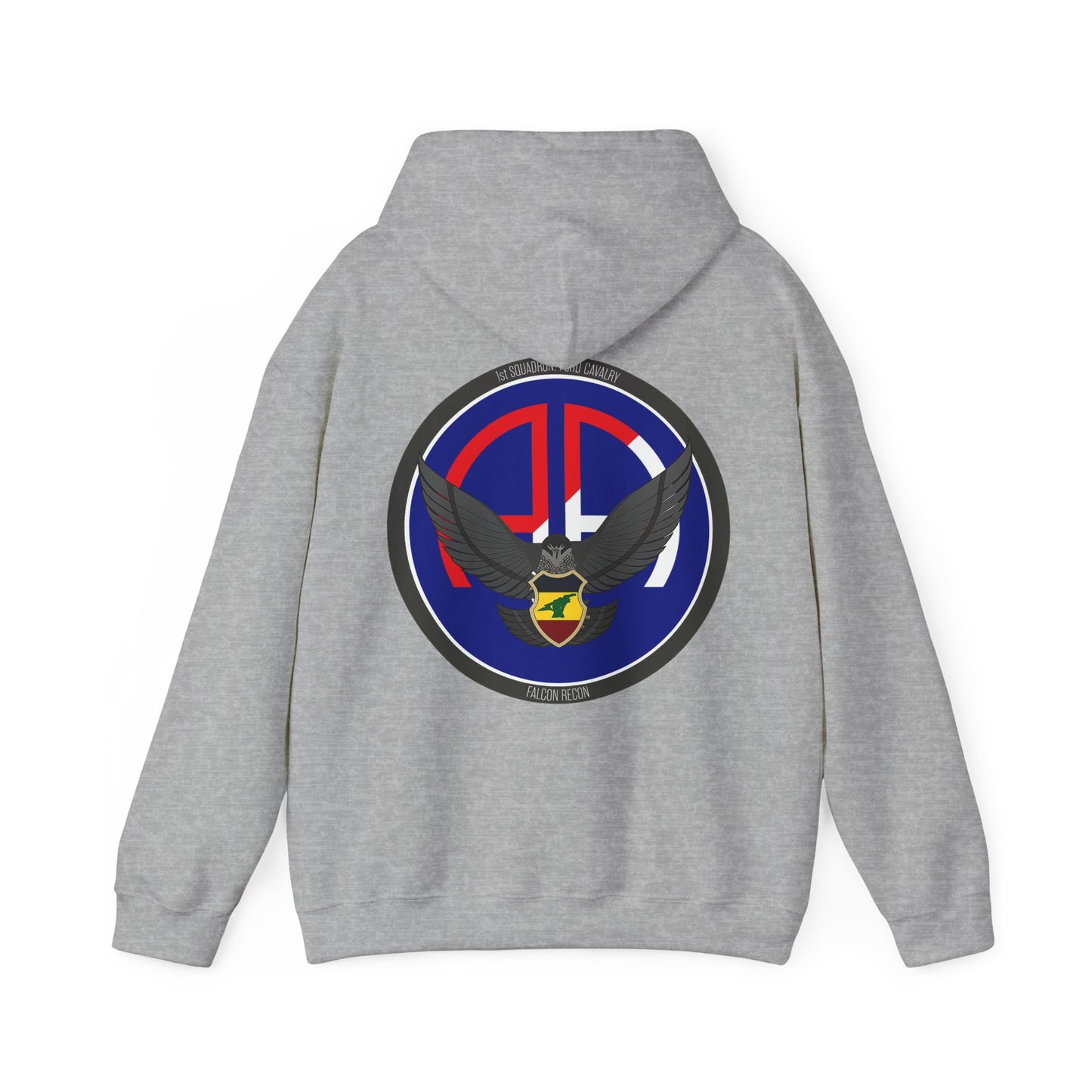 1st Squadron, 73rd Calvary Hoodie