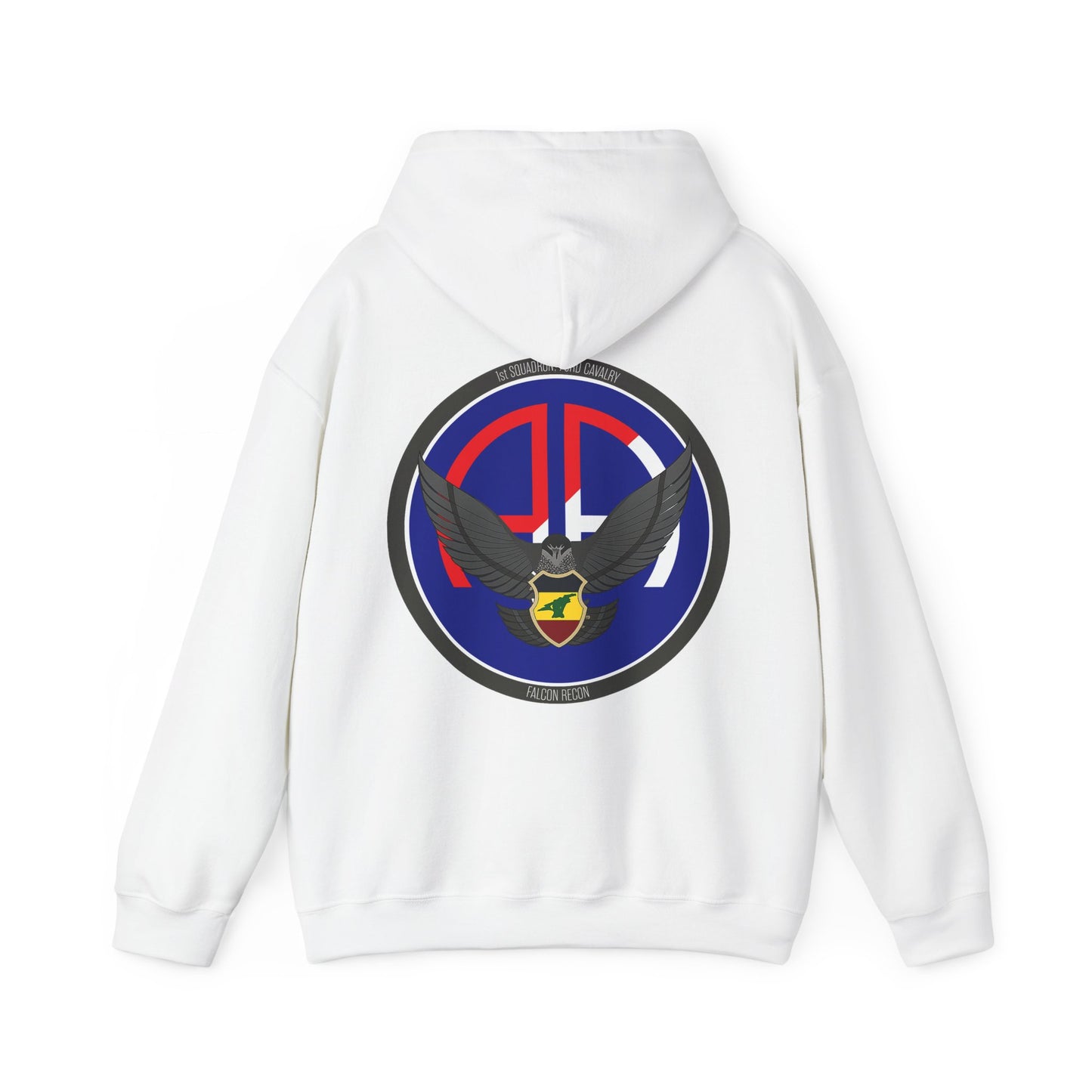 1st Squadron, 73rd Calvary Hoodie