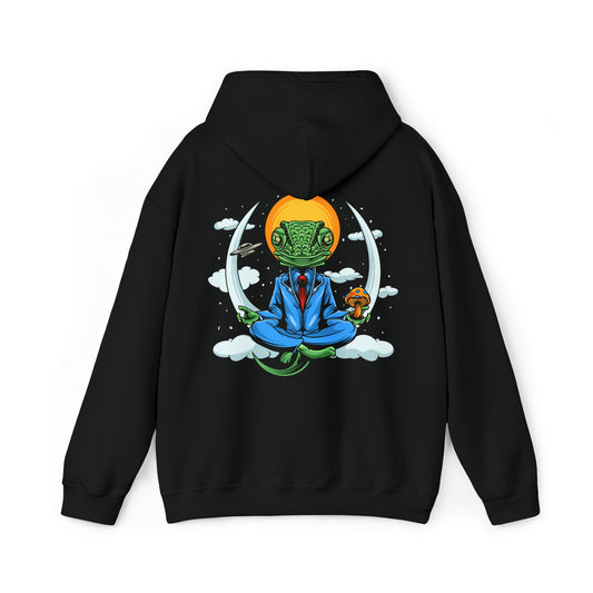 4733 Hoodie